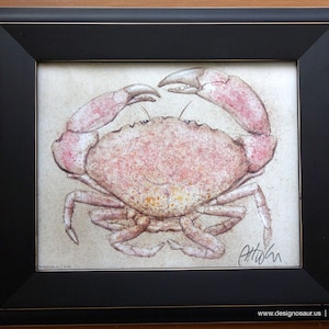 Stone Crab 8x10 image 1