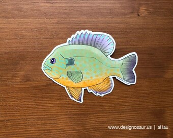 Pumpkinseed Sunfish sticker