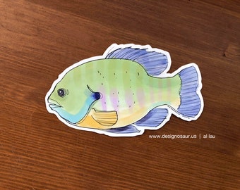 Bluegill fish stickers (set of 4)