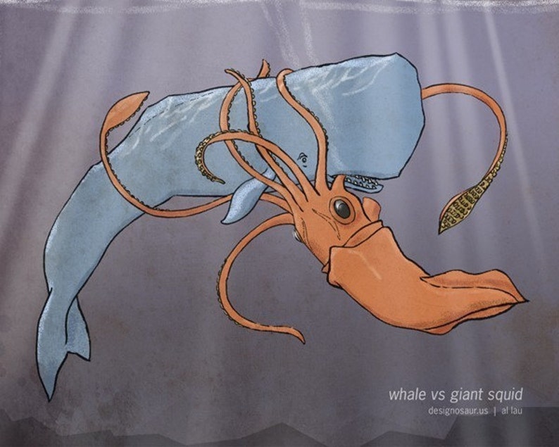 Whale vs Giant Squid 8x10 image 1