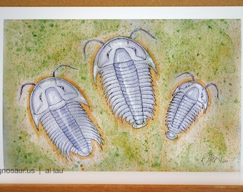 Three Trilobites (13 x 19)