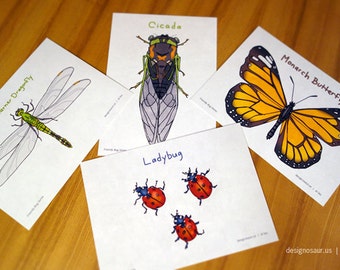 Cartoline di bug amichevole (set di 4)