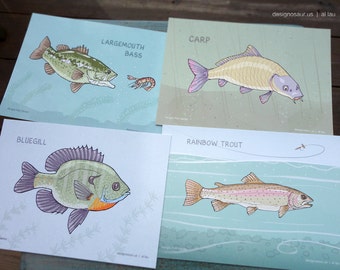 Cartoline di pesce d'acqua dolce (set di 4)