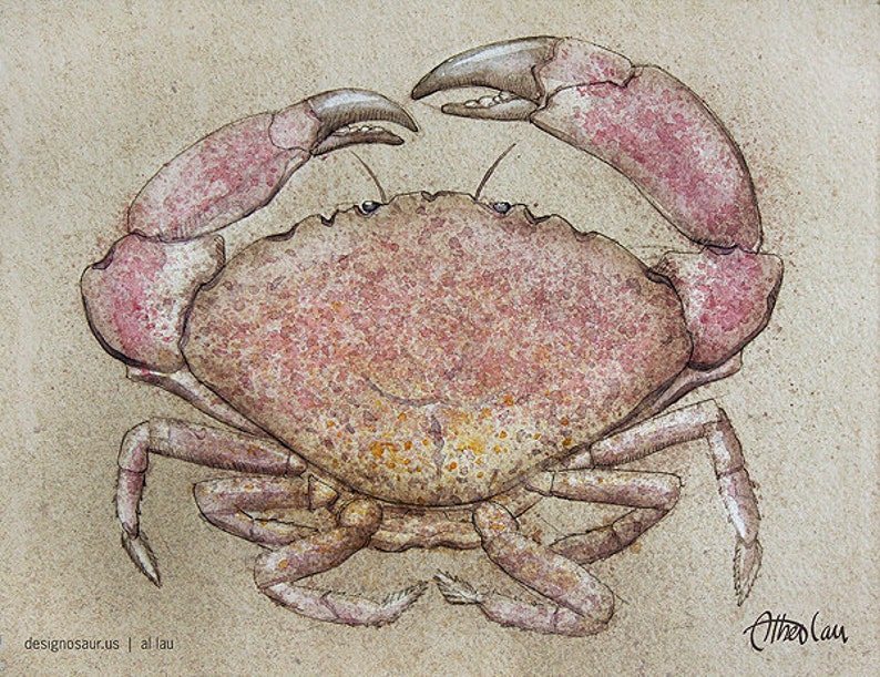 Stone Crab 8x10 image 3