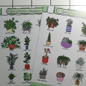 Plant Sticker Sheets A5, Cute Succulent and Houseplant  Botanical Planner Stickers