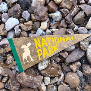 National park moose pennant