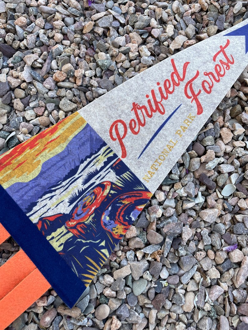 Petrified Forest National Park Pennant - Etsy