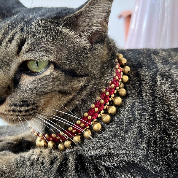 Brass Bells Cat Collars, Hippie Pet Collars, Dog Collars, Jewelry Collars, Cute Collars