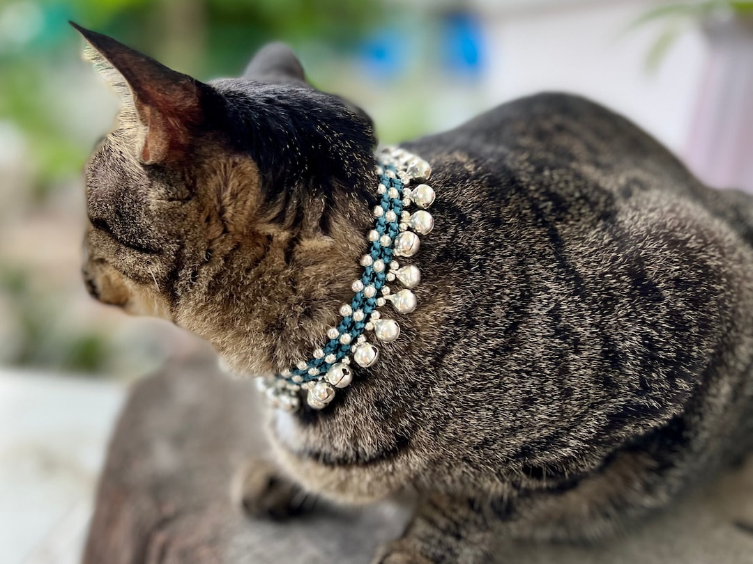 Silver Bells Cat Collars, Hippie Pet Collars, Dog Collars, Jewelry