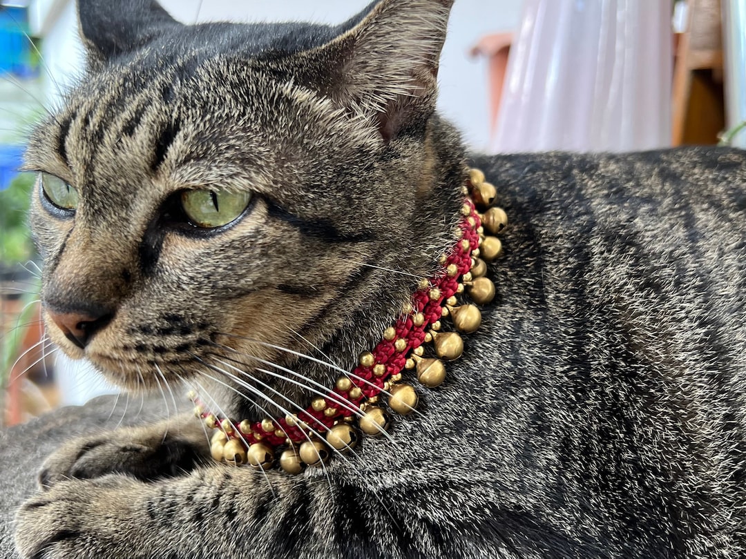 Brass Bells Cat Collars, Hippie Pet Collars, Dog Collars, Jewelry