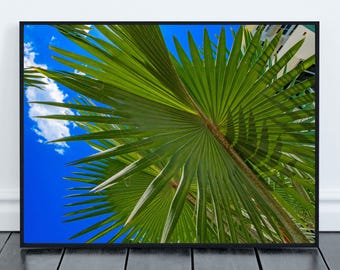Palmeras en Miami / Fotografía de paisajes tropicales / Arte mural costero / Decoración de vacaciones en la playa / Impresión imprimible de viajes a Florida