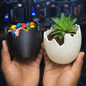 May include: Two egg-shaped containers, one black and one white, are held in hands. The black container is filled with colorful candies. The white container holds a small green succulent plant. The containers have a cracked eggshell design.