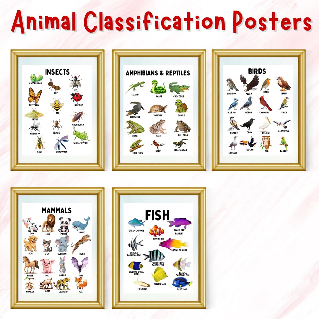 Animal Classification Educational Poster, Educational Watercolor Wall ...