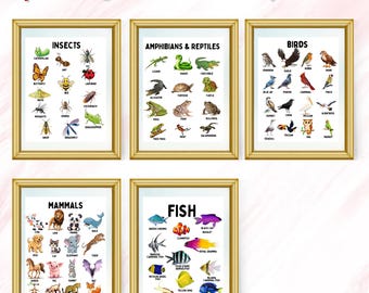 Animal Classification Educational Poster, Educational Watercolor Wall Art Homeschool Animal Class Learning Set of 5, Watercolor Kid Learning