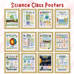Op de afbeelding: Een verzameling ingelijste posters voor de wetenschapsles. De posters behandelen onderwerpen als fotosynthese, de cel, zwaartekracht, het periodiek systeem, aardlagen, DNA, fossielen, menselijke lichaamssystemen, de wetten van Newton, aggregatietoestanden, het zonnestelsel en atomen.