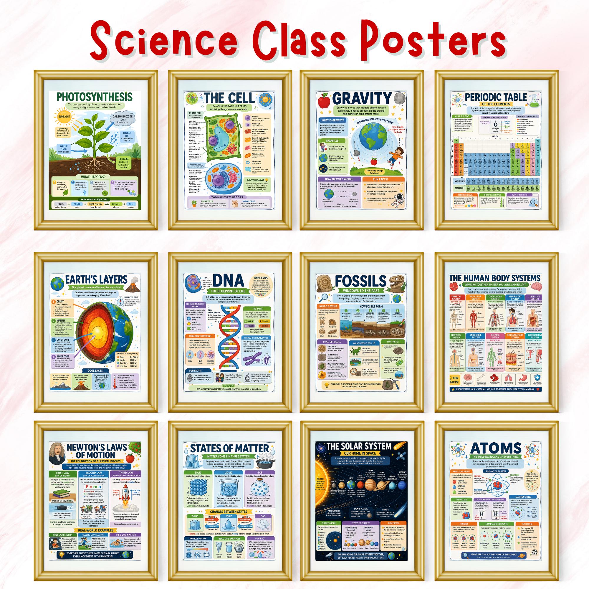 Science Fun Facts Posters