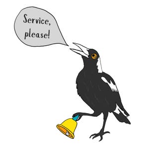 Carte pie drôle, carte oiseau cloche de service, carte oiseau australien, carte de voeux humoristique, carte brillante de haute qualité, carte faune australienne