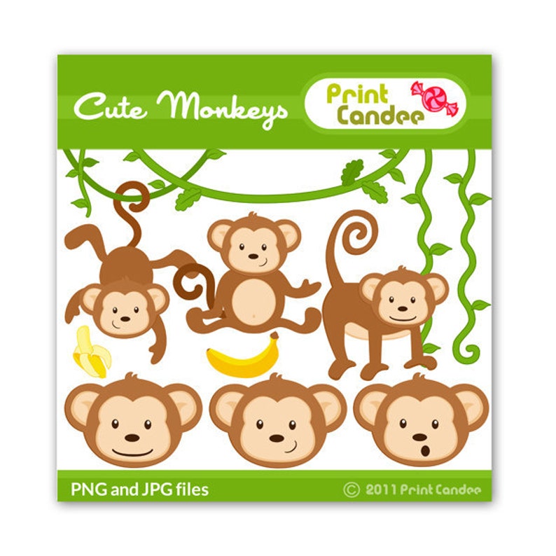 Cute Monkeys Digital Clip Art Personal and Commercial Use jungle monkey vine banana cute animals nursery pattern image 1