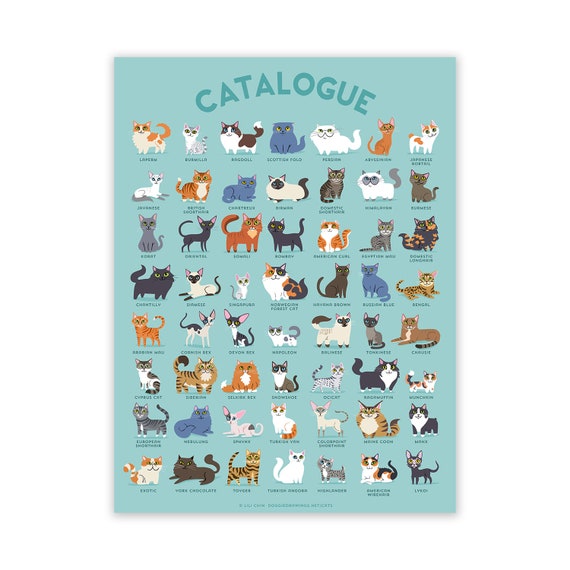 Arthur De layout Scheiden CATALOGUS Katten poster 18x24 inch - Etsy België