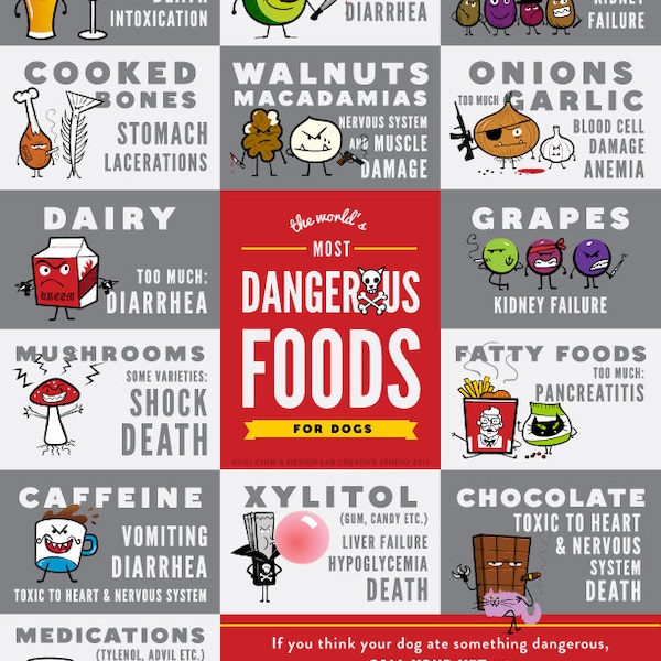 The World's Most Dangerous Foods For Dogs - 4" x 6" Fridge Magnet (SET OF 3)