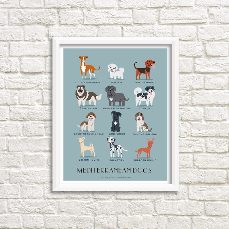 Dog Breeds Print Mediterranean Dogs Art Print Dog Breeds Etsy
