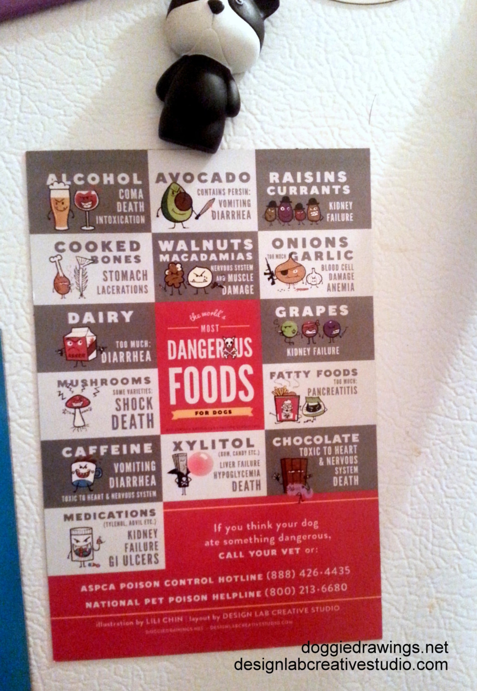 The World's Most Dangerous Foods for Dogs 4 X 6 Fridge SET OF 3