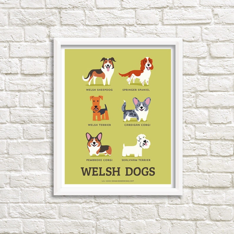 Dog Breeds print WELSH DOGS art print dog breeds from
