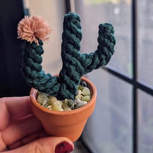 Pode incluir: Um pequeno cacto de corda verde em um vaso de terracota com pedras brancas e verdes. O cacto tem a forma de um cacto tradicional com dois braços.