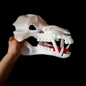 Fursuit head base, furry, mask fursuit