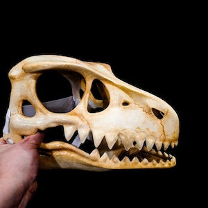 Fursuit head base, furry, skull mask,unique mask