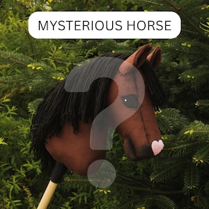 MISTERY A5/A4/A3 Hobby Horse Basic/Painted/Piebald/Overo Perfect Gift for Kids Teens Horse Lovers Stick Horse