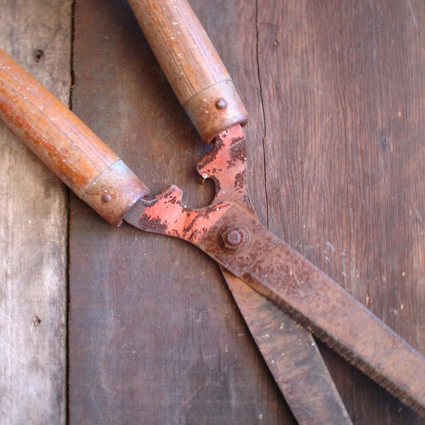 Antique Salvaged Large Garden Shears