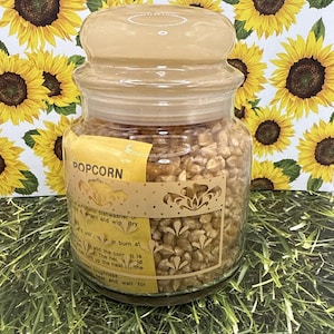 Pot à pop-corn en verre floral vintage : boîte de rangement de cuisine rétro