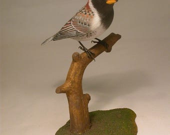 Lapland Longspur Hand Carved and Hand Painted Wooden Bird