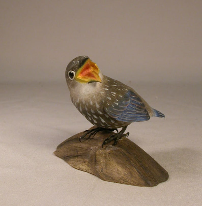 Baby Eastern Bluebird Carved Bird Basswood - Etsy