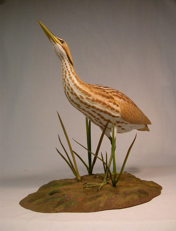 21 Inch American Bittern Hand Carved Wooden Bird Etsy 21 Inch American Bittern Hand Carved Wooden Bird Etsy