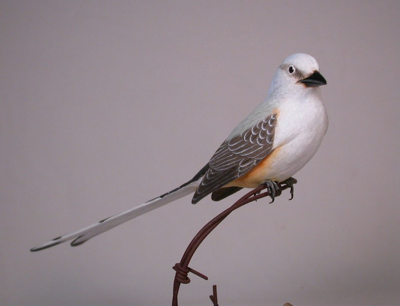 Scherenschwanz Königstyrann Hand geschnitzte hölzerne Vogel | Etsy