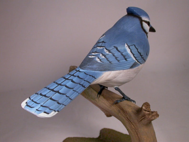 Life Size Blue Jay 9-1/2 inch Hand Carved Wooden Songbird ...
