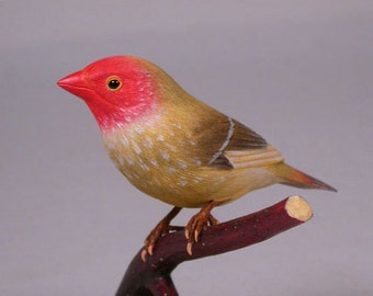 Star Finch Hand Carved Wooden Bird