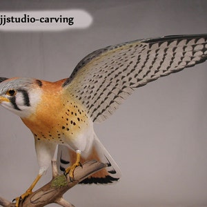 Open-winged American Kestrel male Hand Carved Wooden Bird Carving image 3