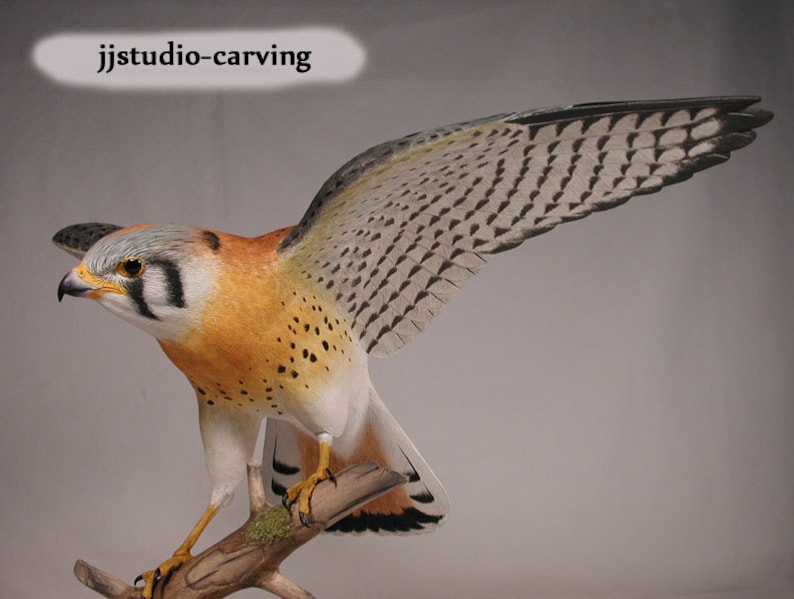 Open-winged American Kestrel male Hand Carved Wooden Bird Carving image 3