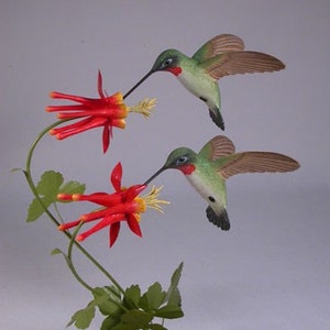 Open-winged Ruby-throated Hummingbird Pair image 3