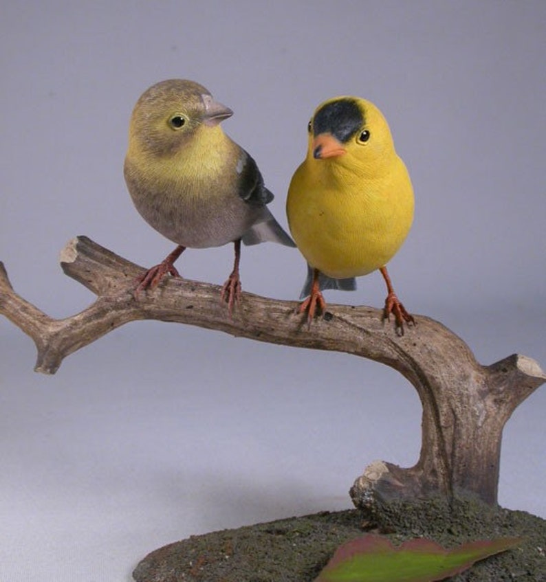 Pair of Male-female America Goldfinch - Etsy