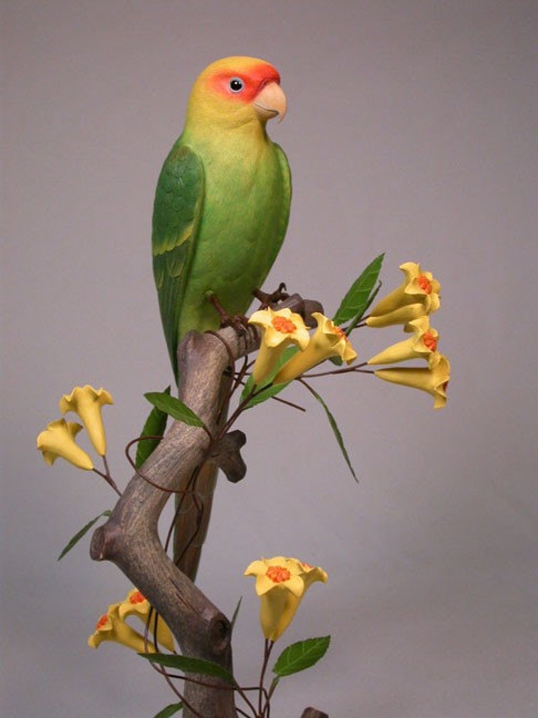 11インチ 絶滅したカロライナインコ 手彫りの木製鳥 - Etsy 日本