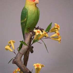 11 inch Extinct Carolina Parakeets Hand Carved Wooden Bird