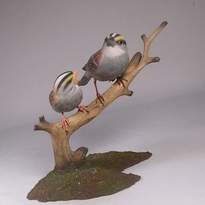 White-throated Sparrow & a Baby Hand Carved Wooden Songbird