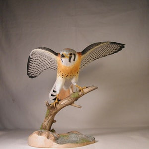 Open-winged American Kestrel male Hand Carved Wooden Bird Carving image 1