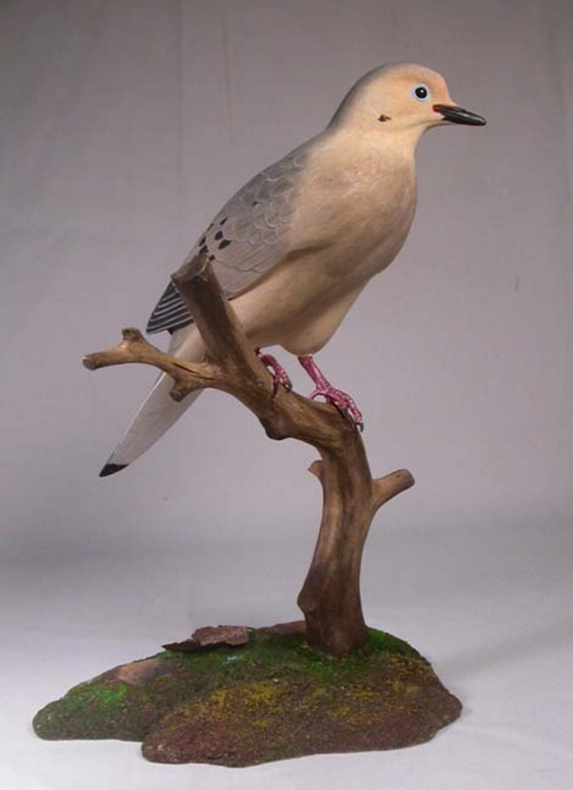Life Size Mourning Dove Hand Carved Wooden Bird Etsy