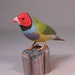 see more listings in the pet birds, santa carving section