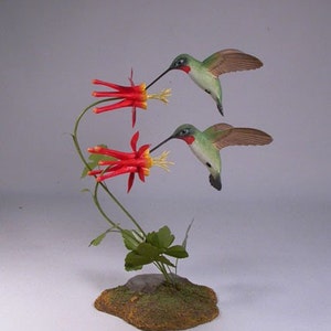 Open-winged Ruby-throated Hummingbird Pair image 1